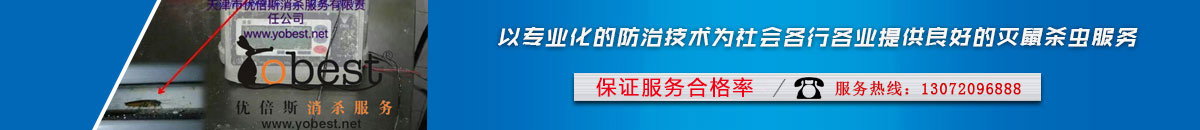 首页评价下长图