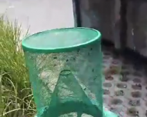 消杀现场