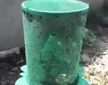 杀虫视频