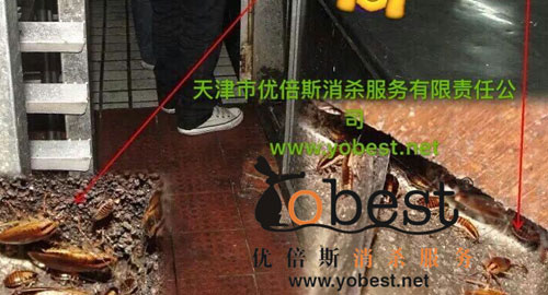 免费提供现场勘查