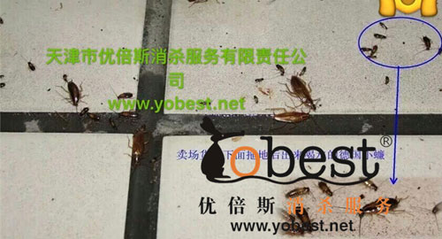  保证防治服务质量