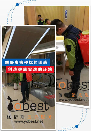 成功案例